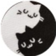 Bashkirov Sergej's avatar